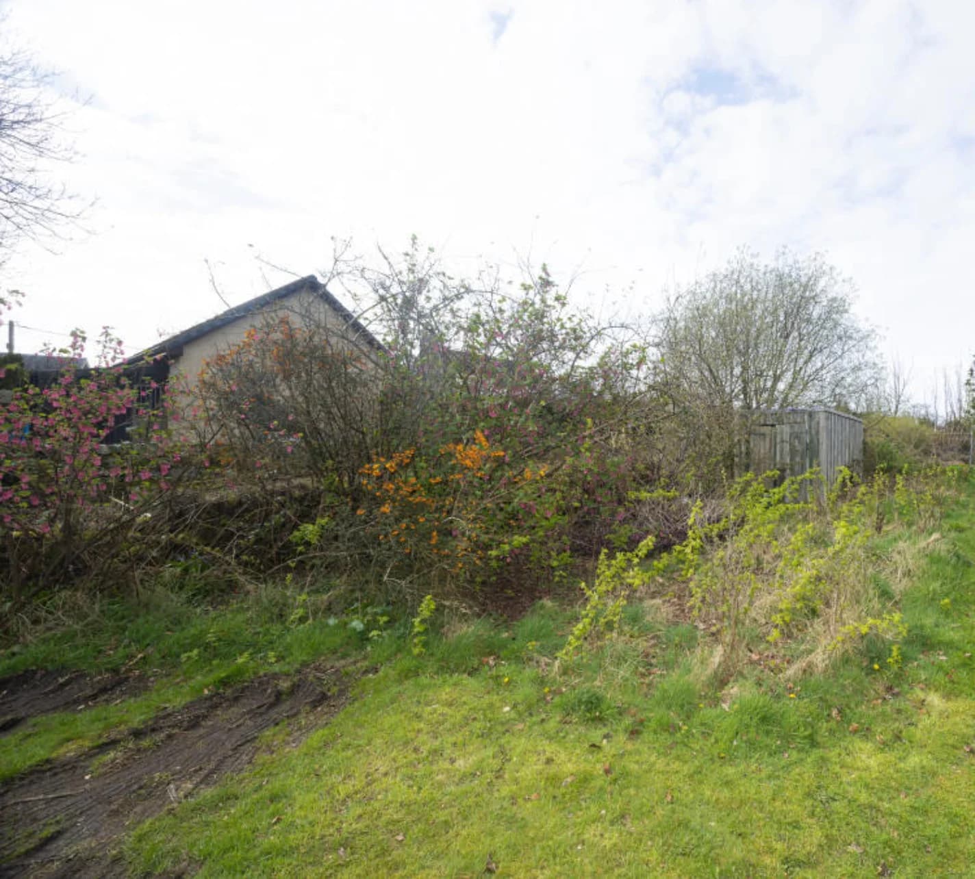 property photo 21 of 21