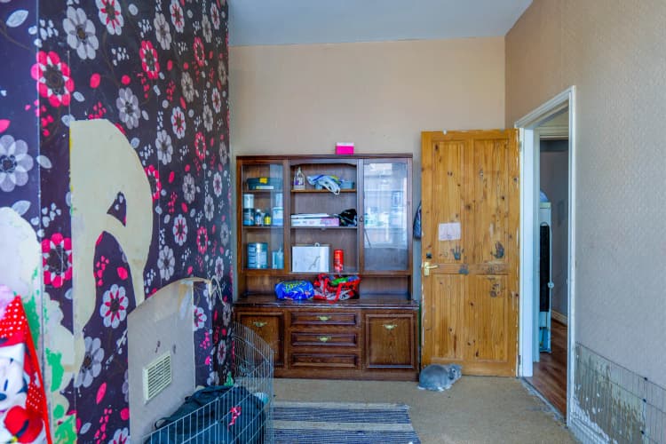 property photo 6 of 17
