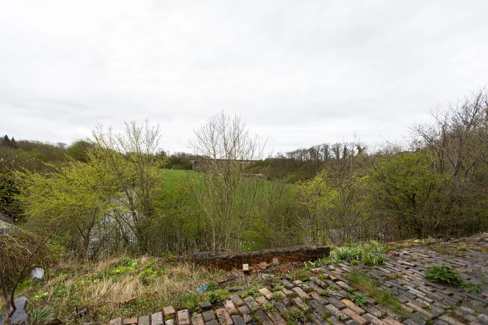 property photo 17 of 17