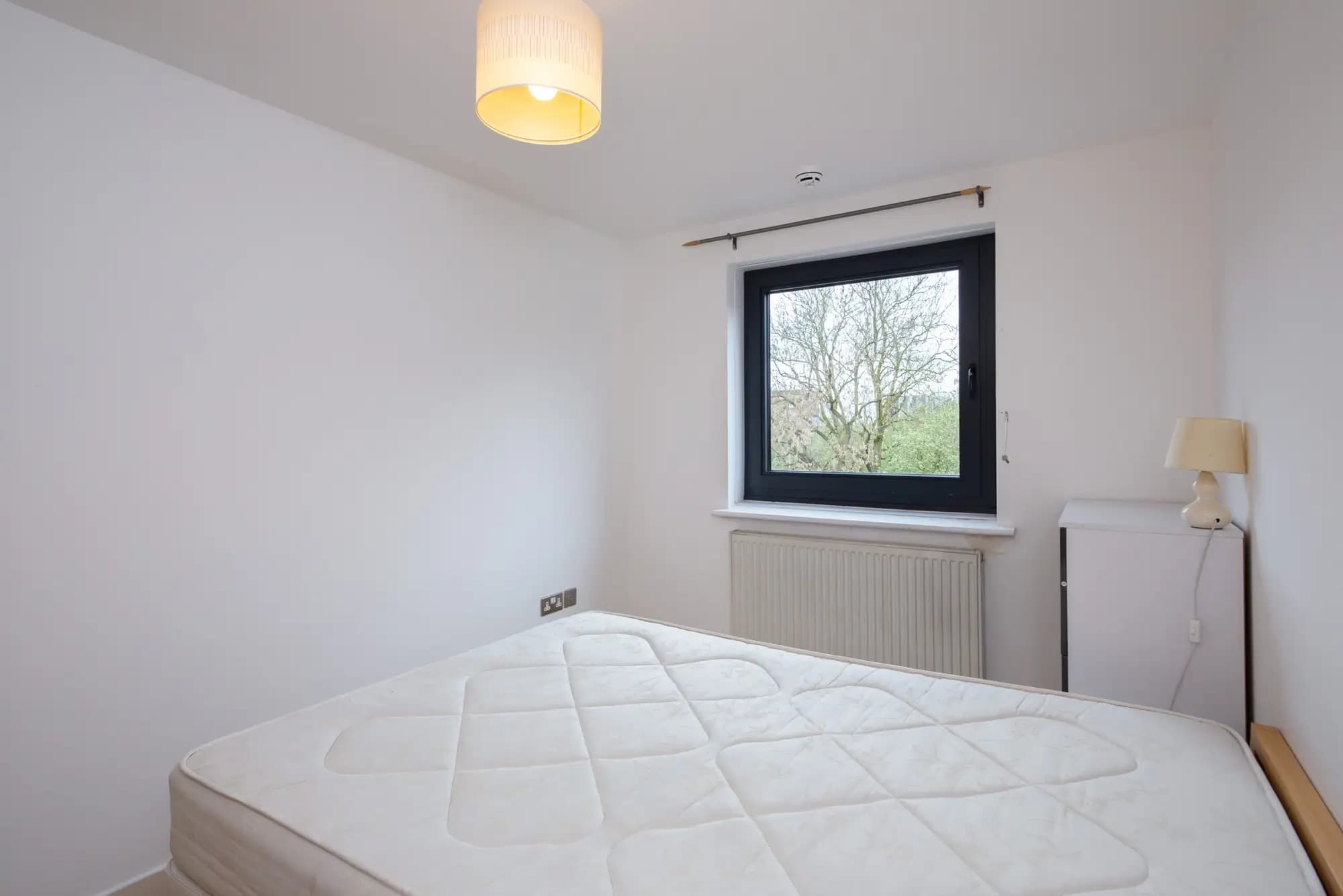 property photo 12 of 14