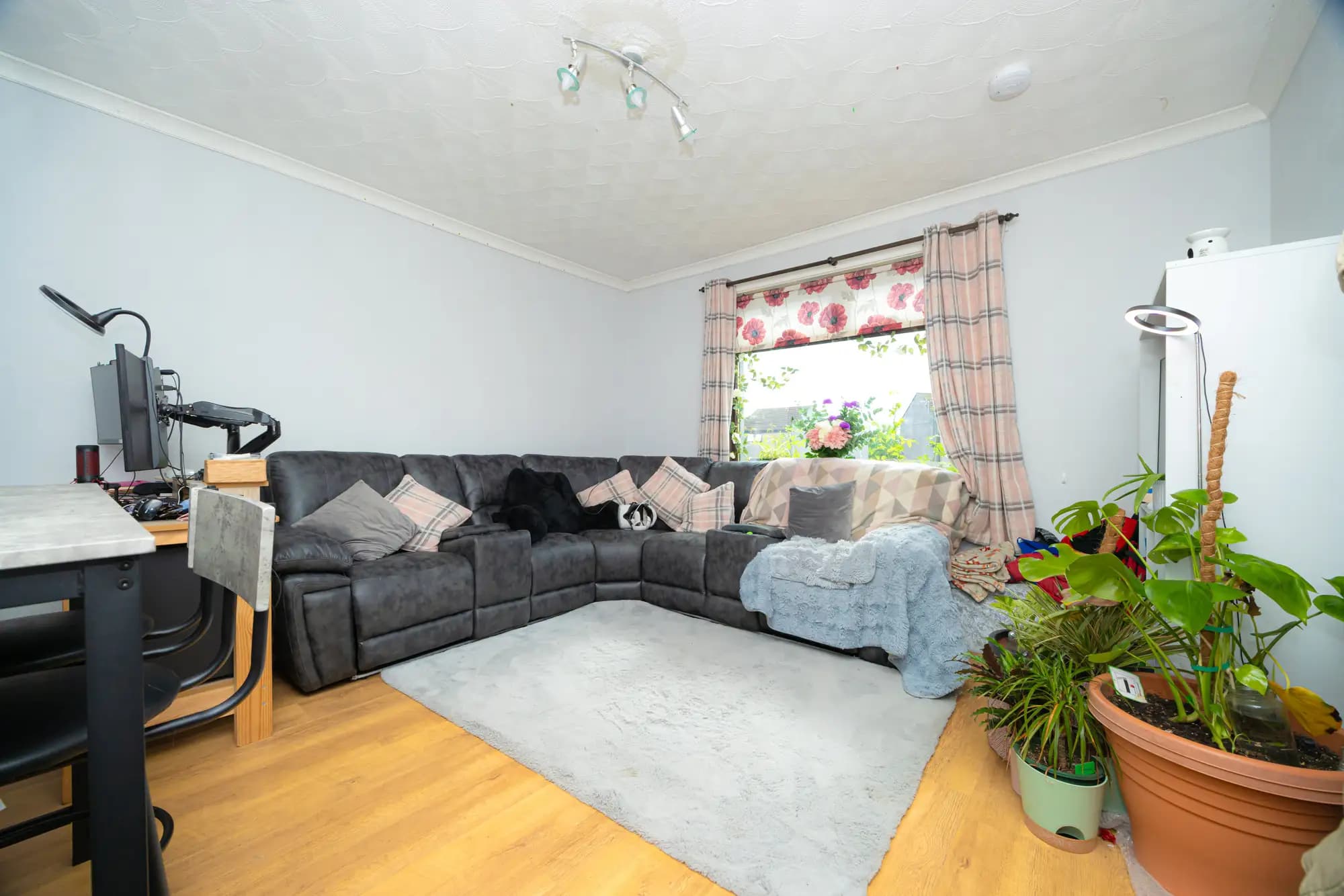 property photo 4 of 24