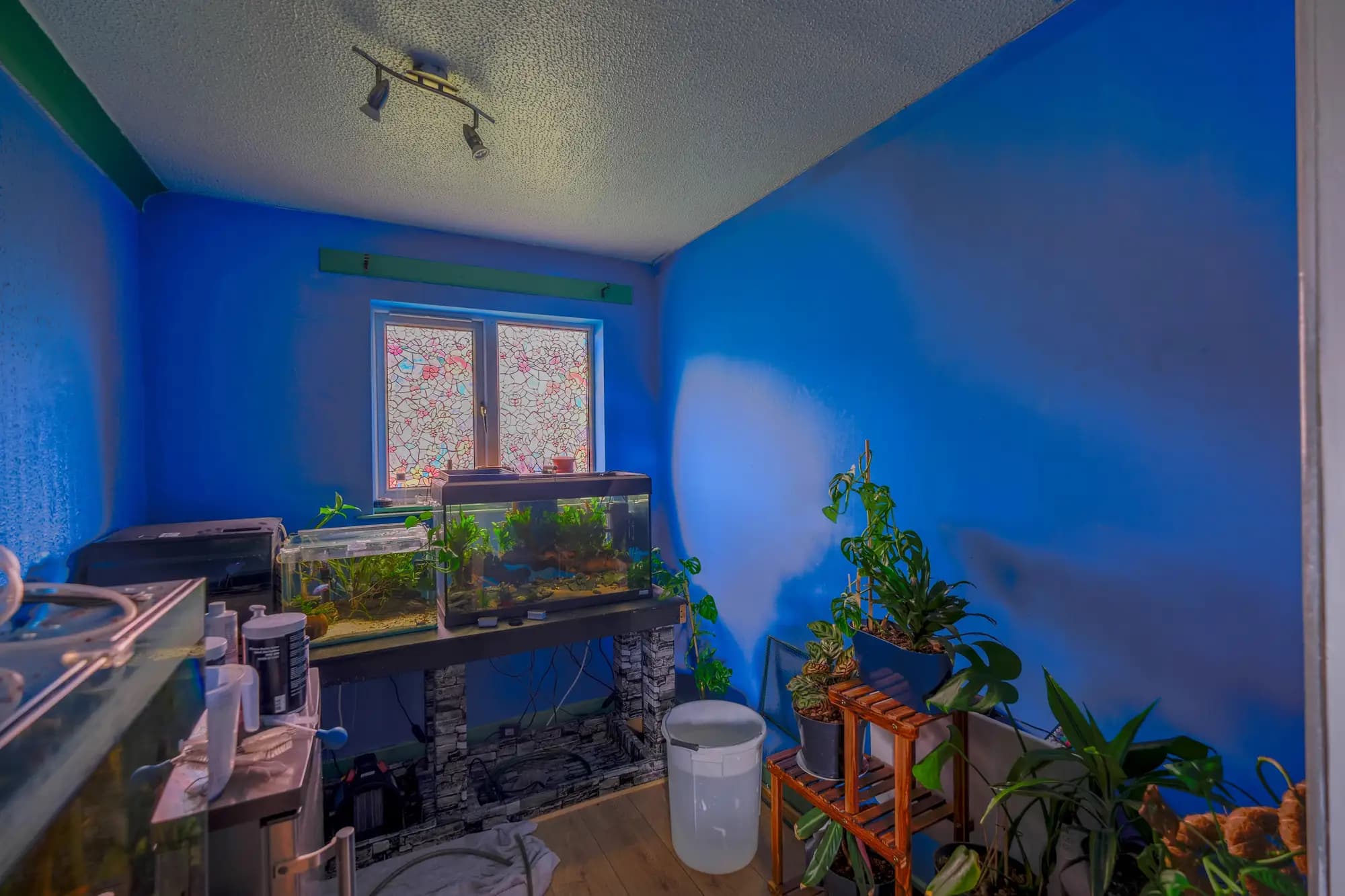 property photo 7 of 32