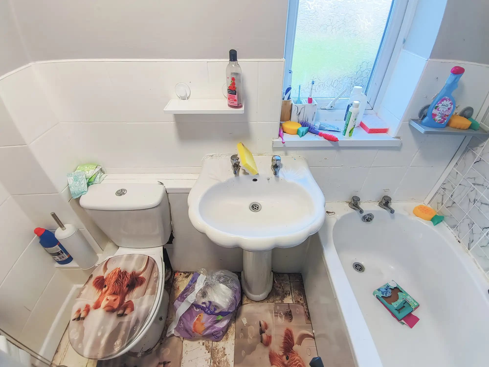 property photo 6 of 20