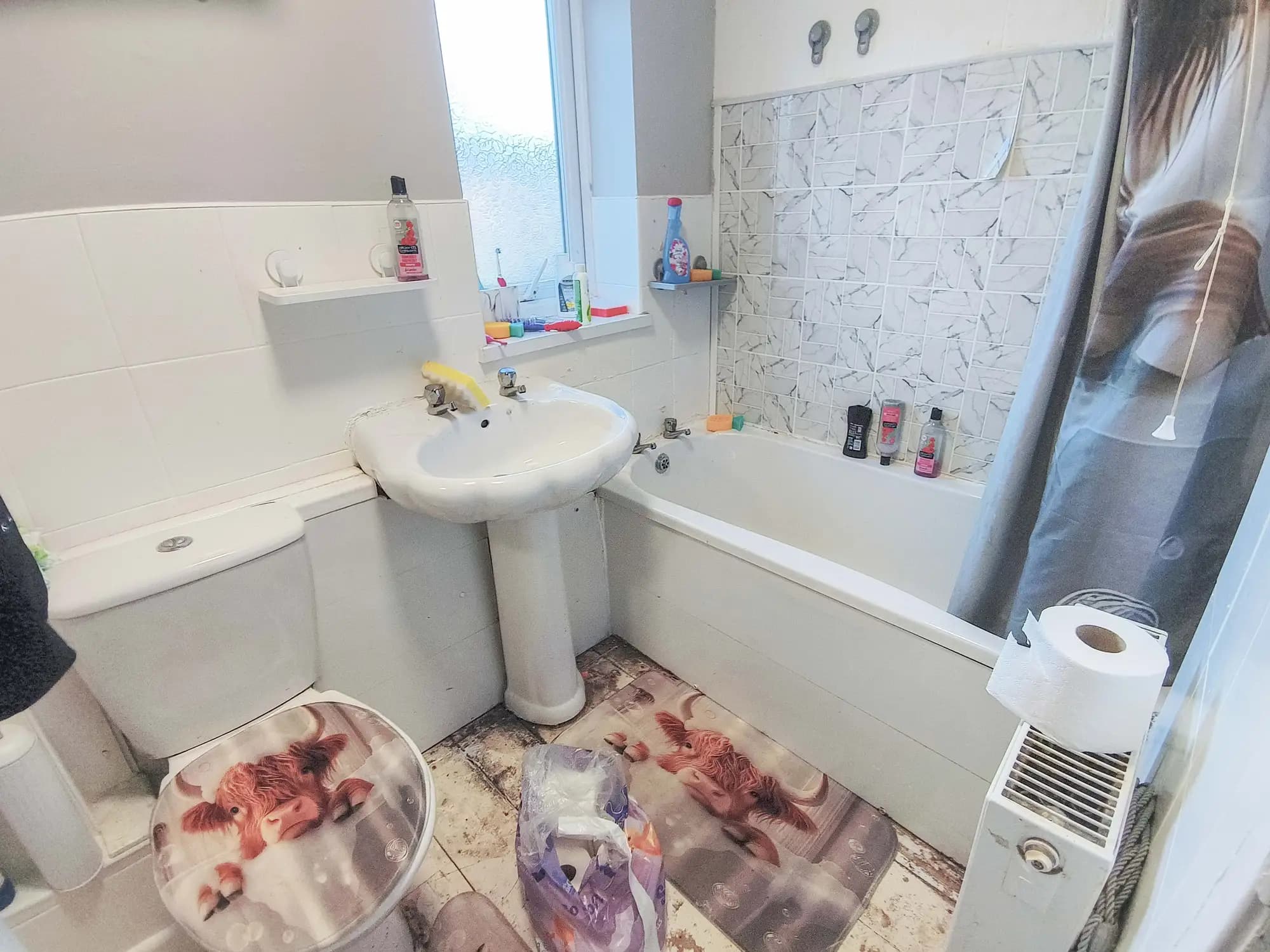 property photo 7 of 20