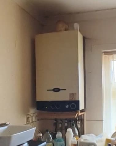 property photo 11 of 11