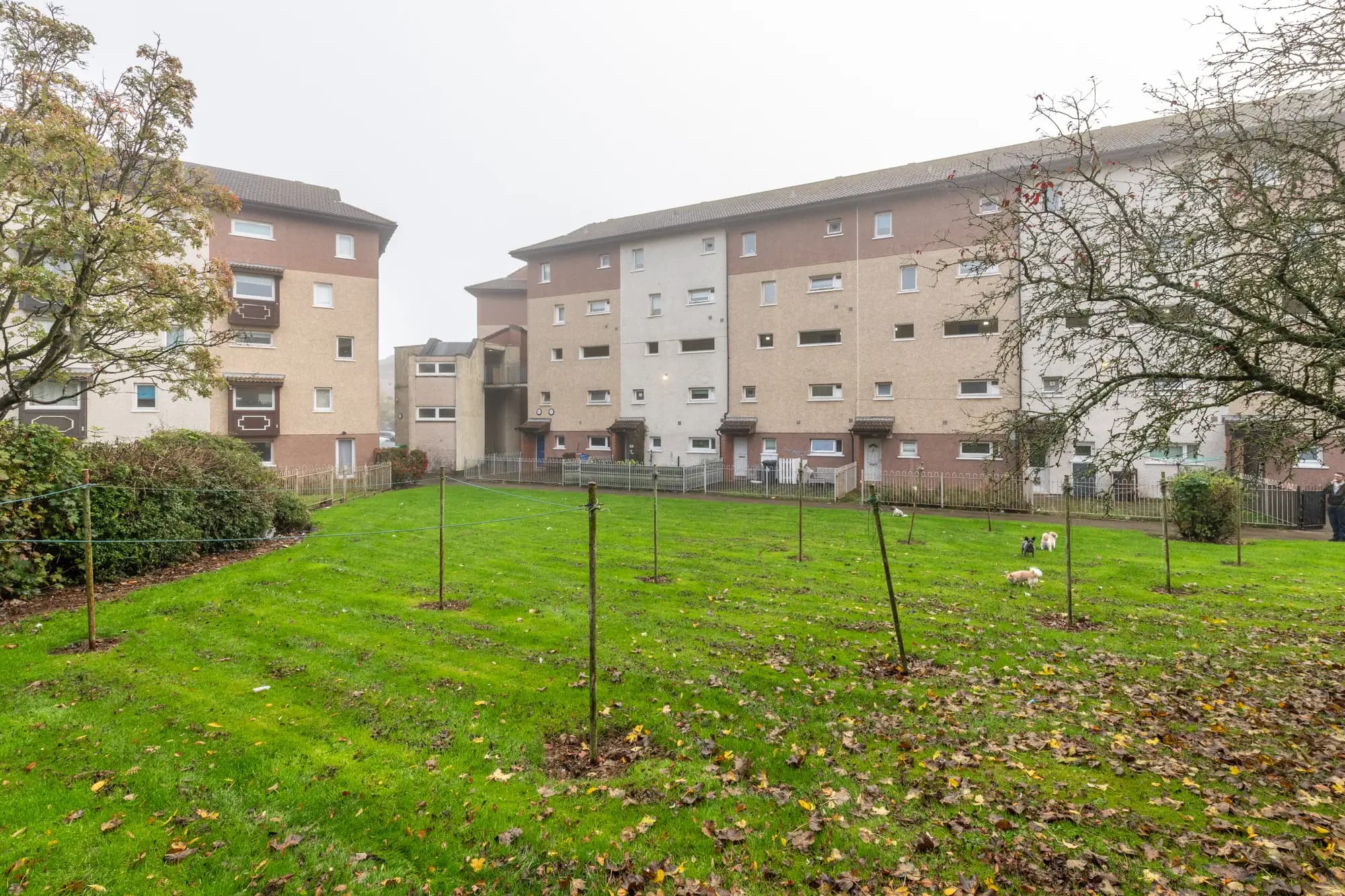 property photo 36 of 37