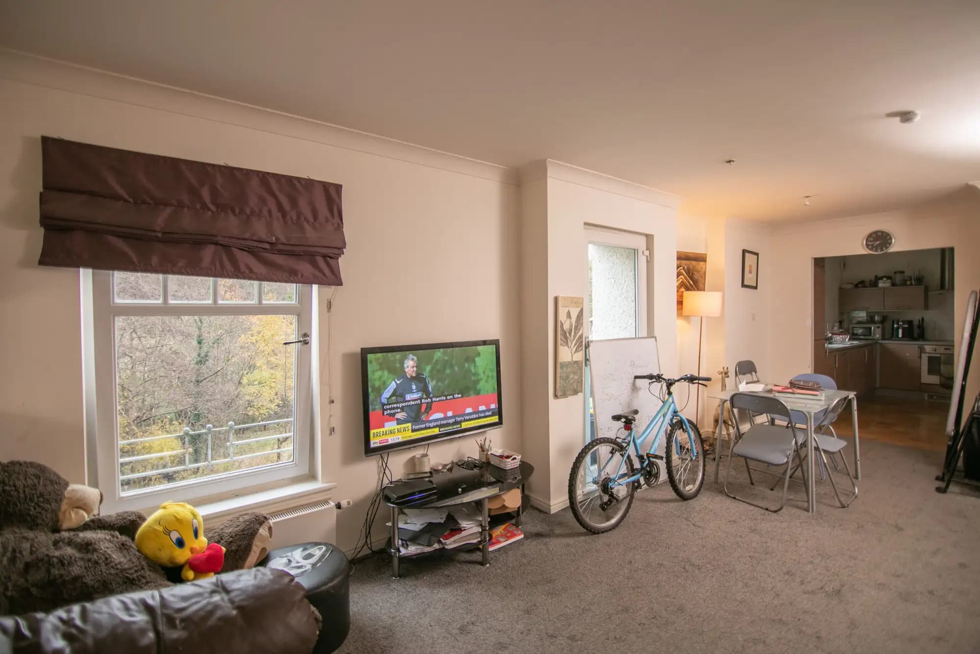 property photo 8 of 45