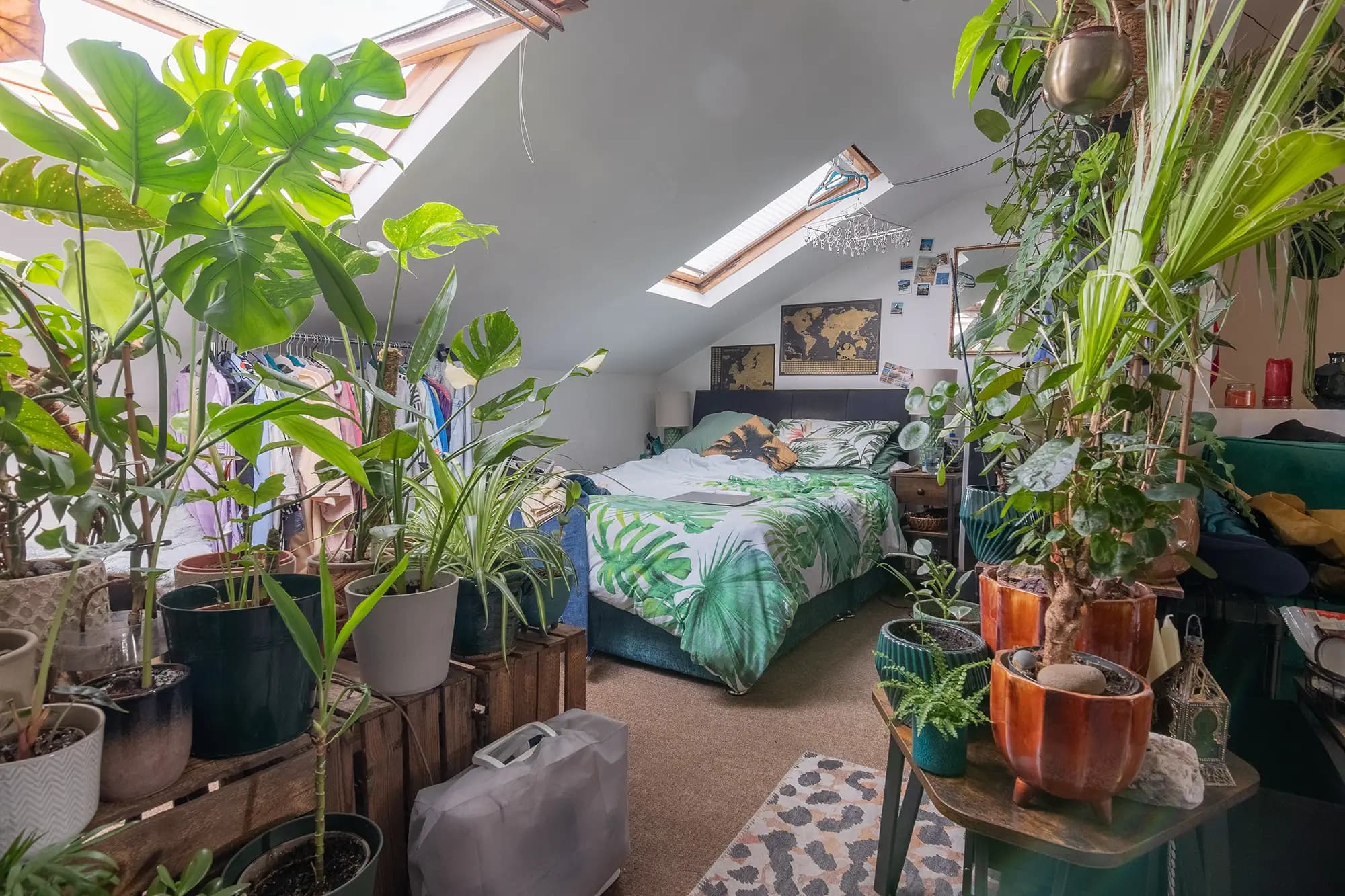 property photo 13 of 20