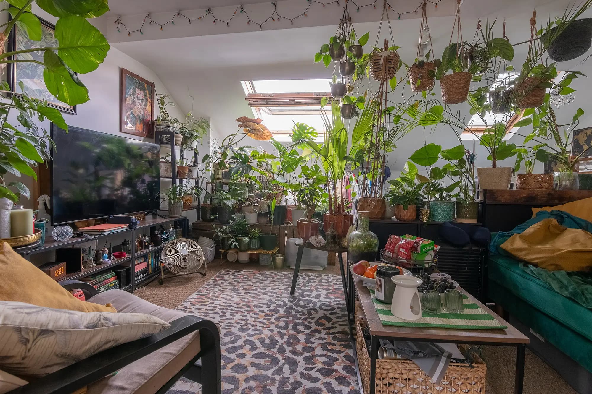 property photo 2 of 20