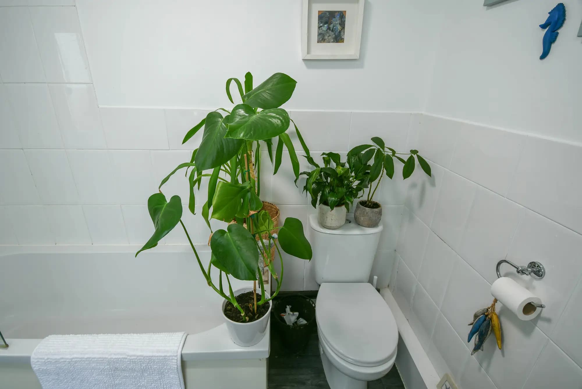property photo 7 of 18
