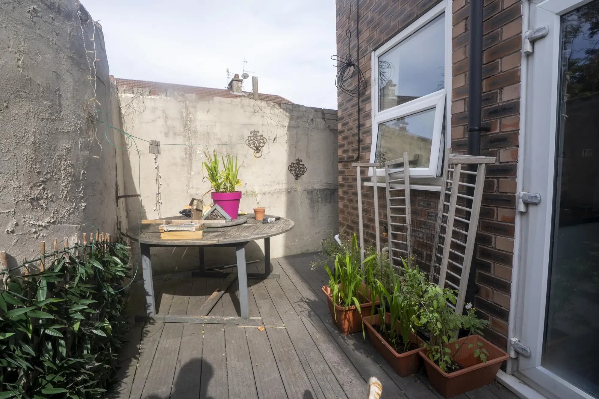 property photo 29 of 31