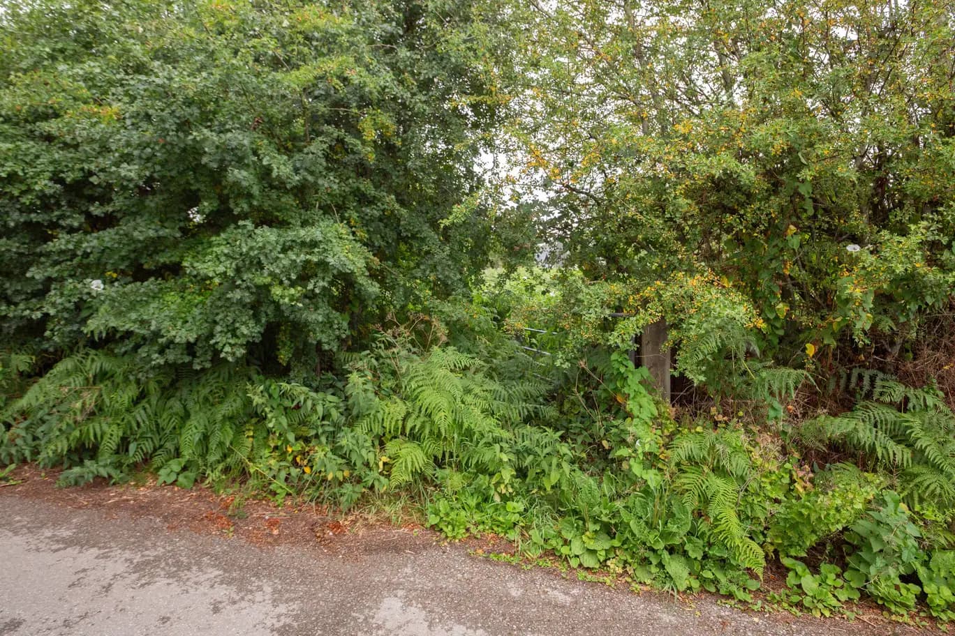 property photo 11 of 12