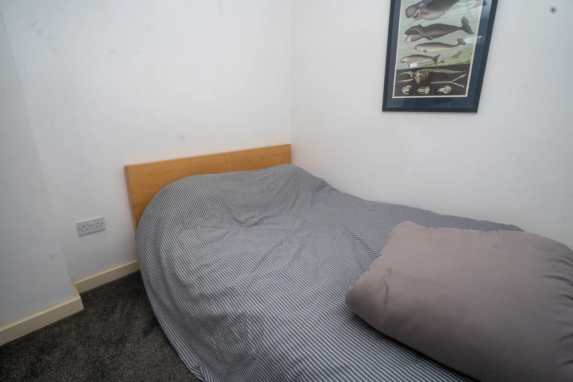 property photo 15 of 24