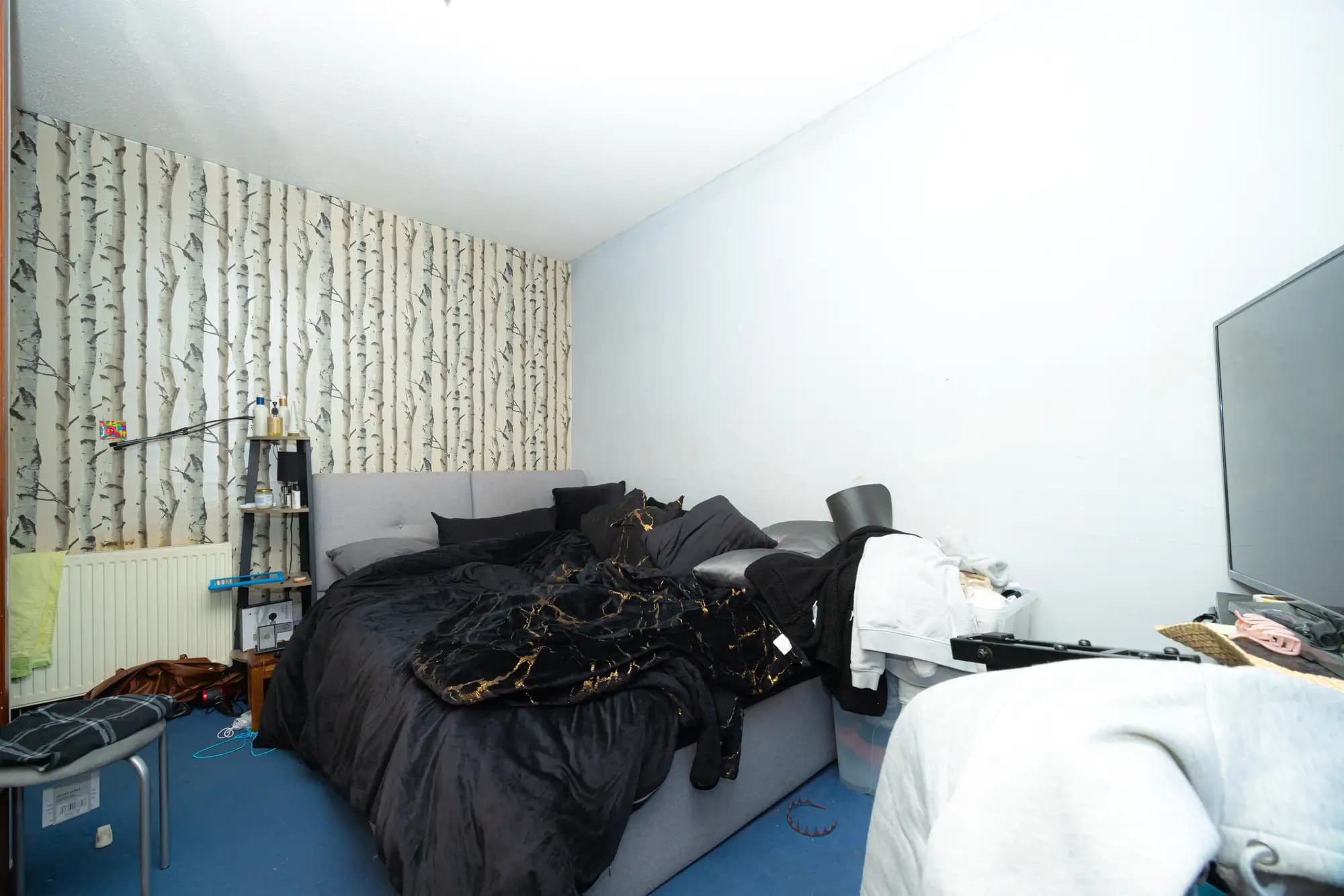 property photo 11 of 24
