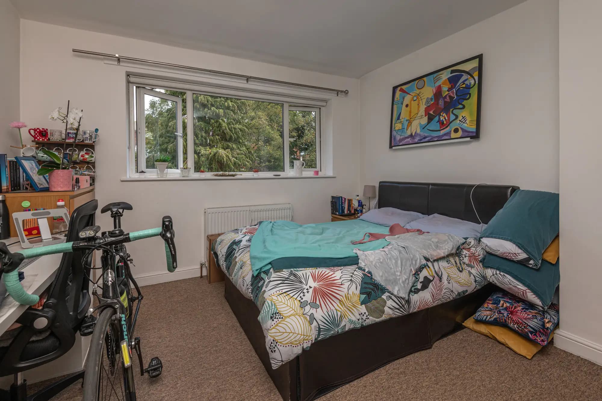 property photo 12 of 23
