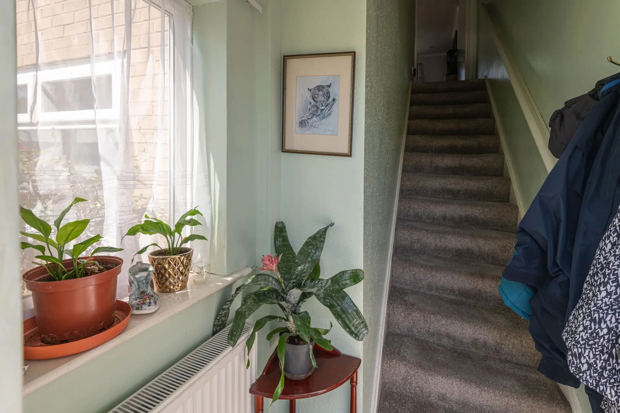 property photo 12 of 17