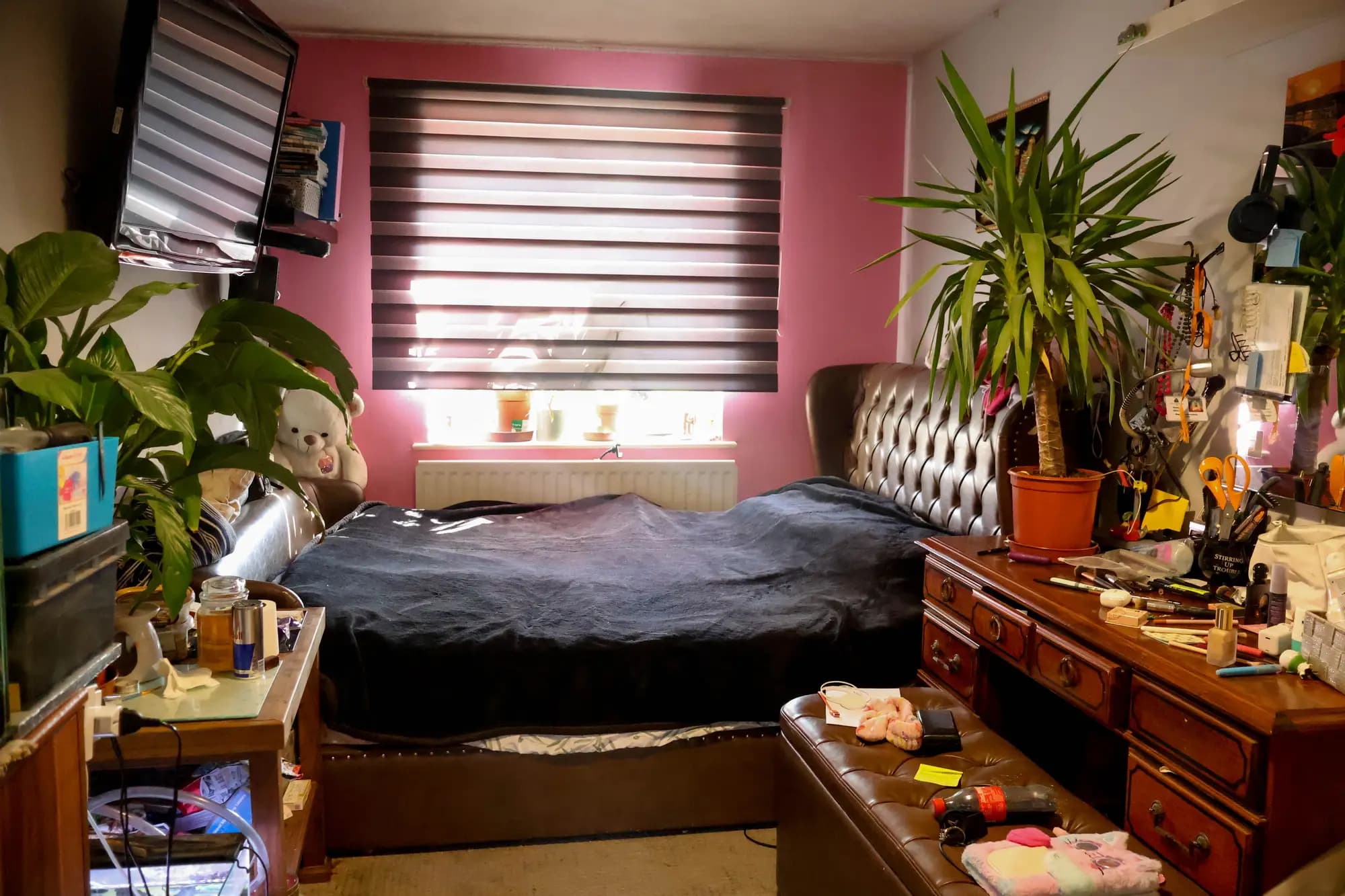 property photo 11 of 18