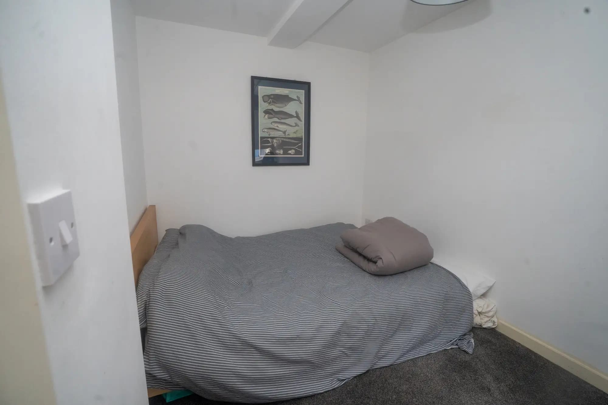property photo 14 of 24