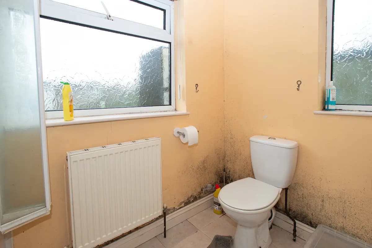 property photo 9 of 20