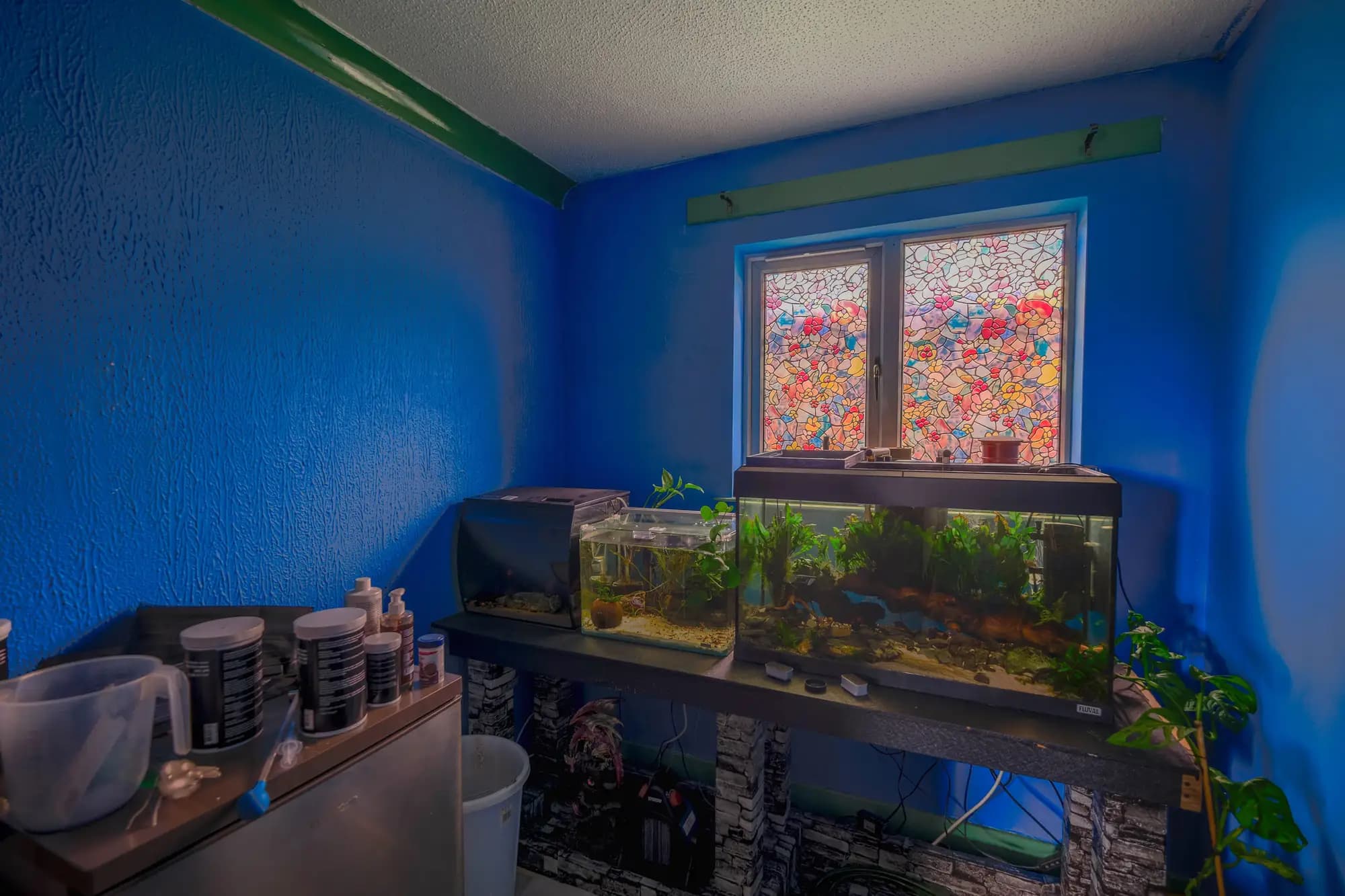 property photo 5 of 32