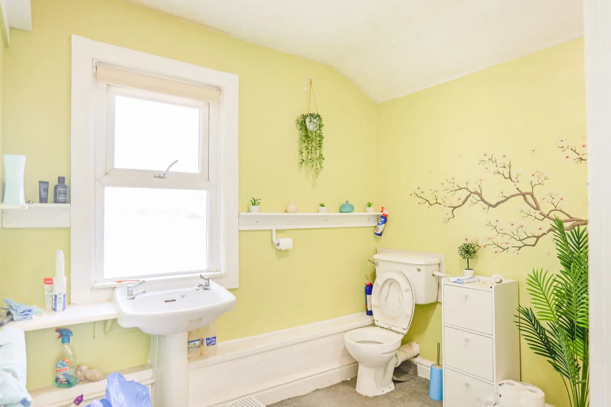 property photo 8 of 19