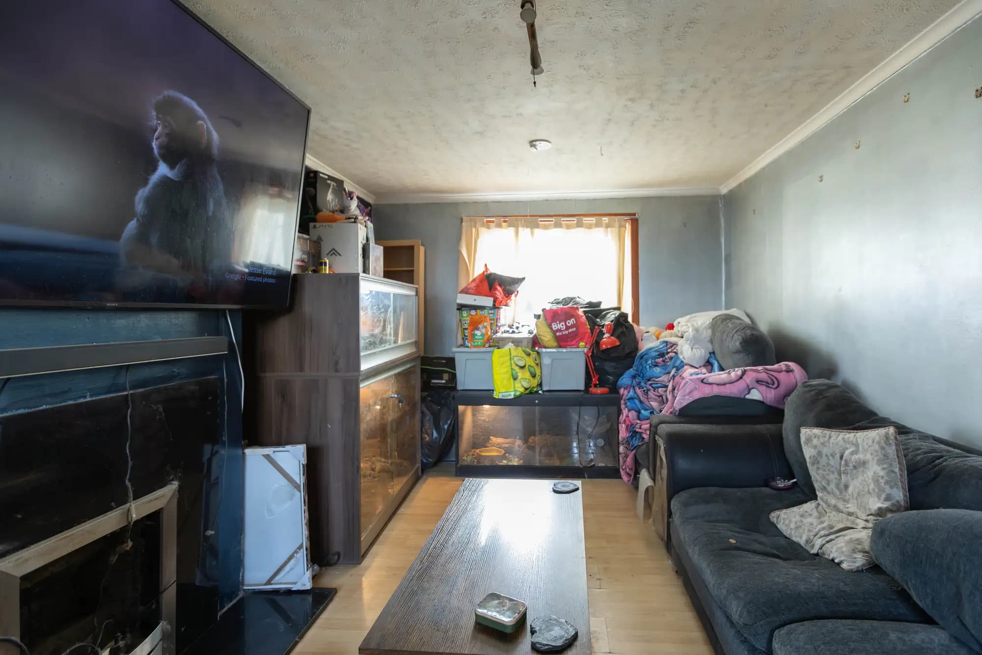 property photo 4 of 17