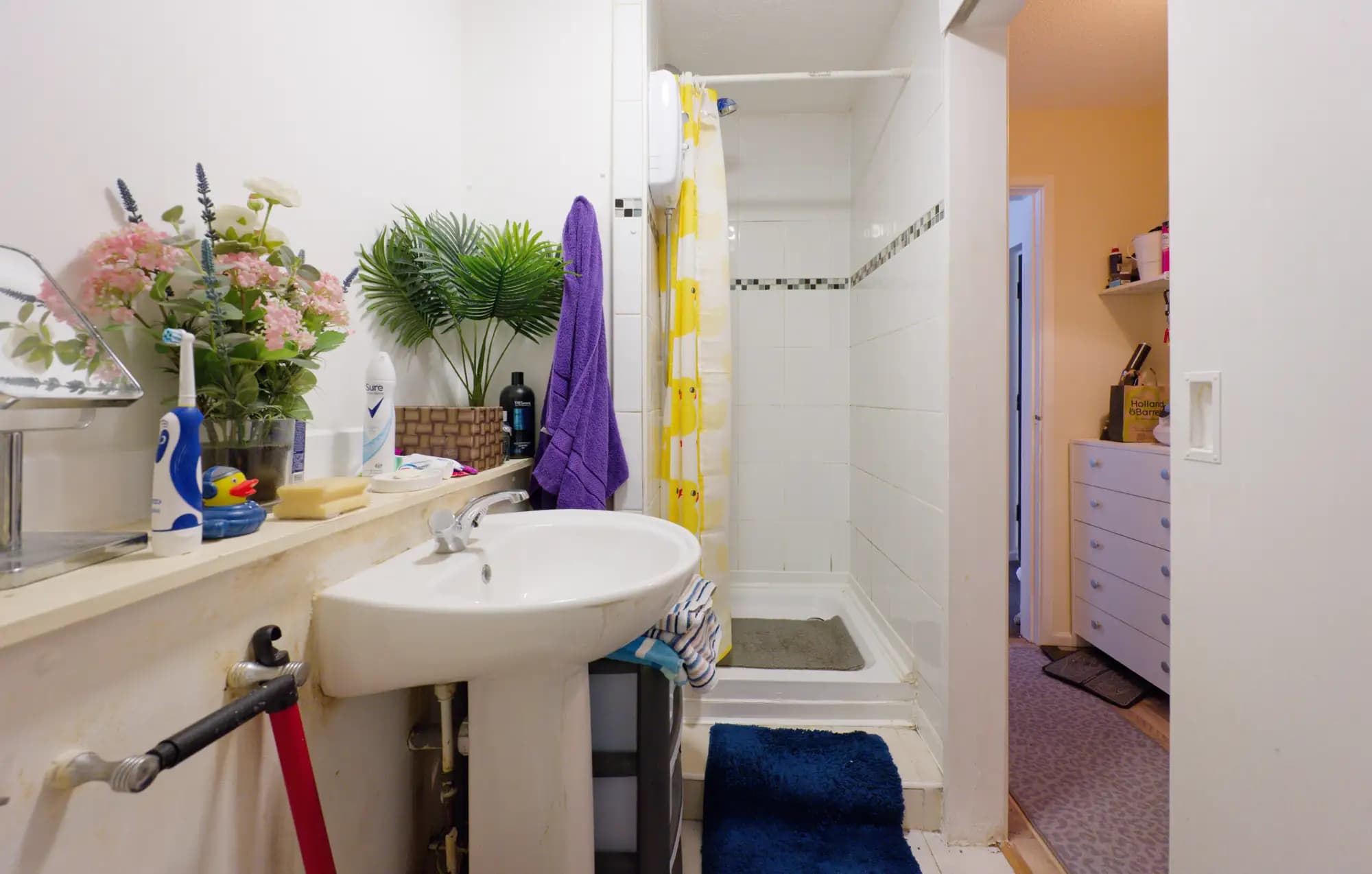 property photo 12 of 20