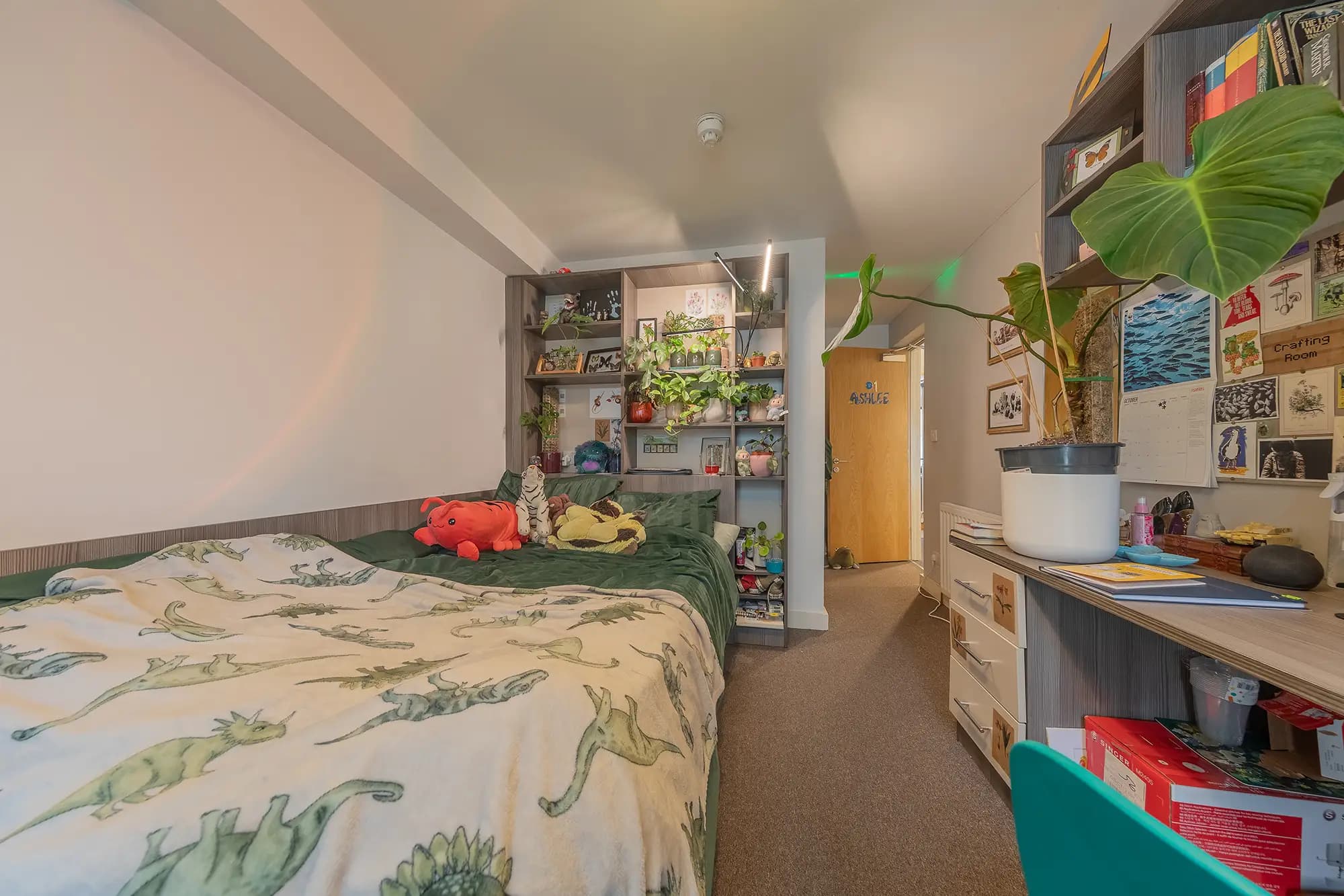 property photo 8 of 44