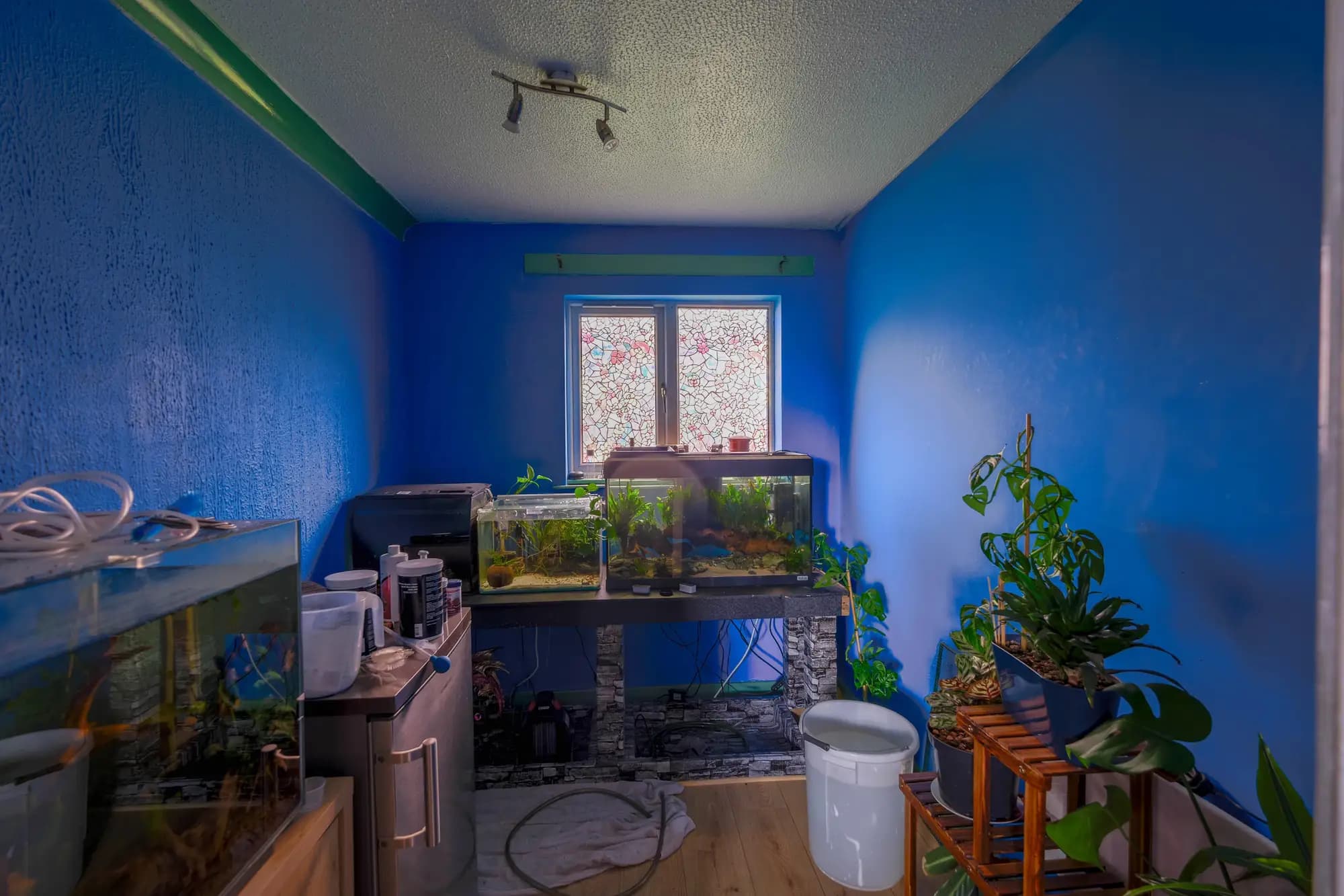 property photo 6 of 32
