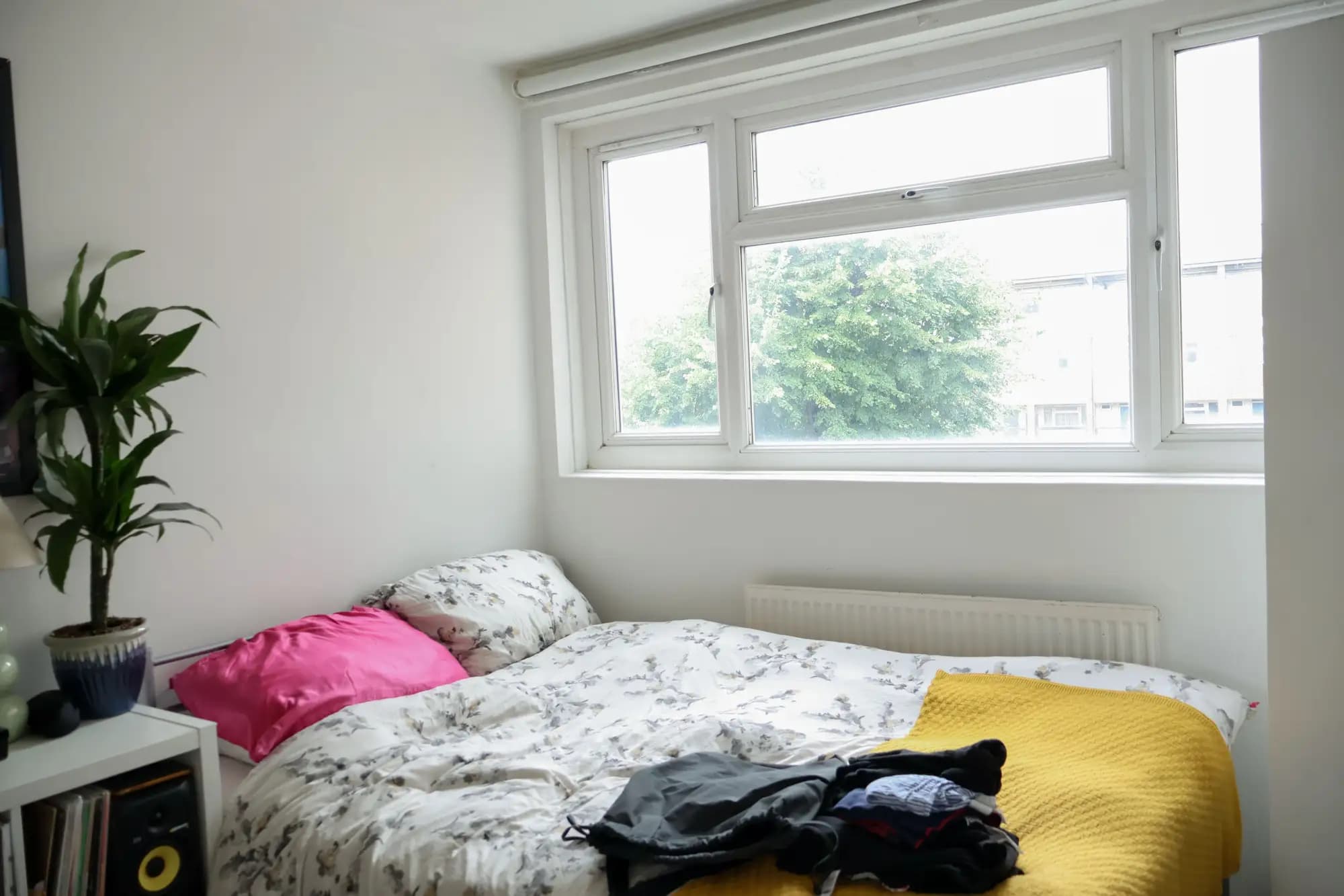 property photo 6 of 19