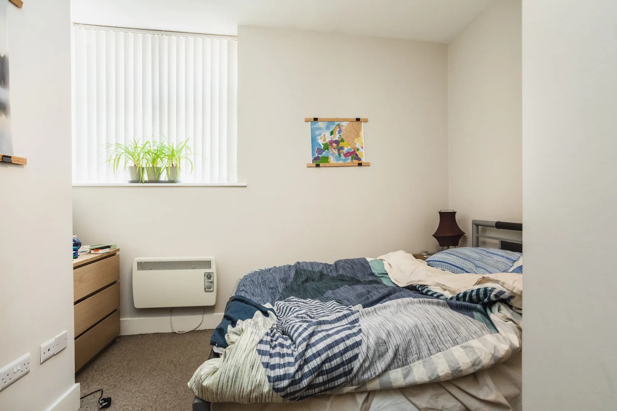 property photo 11 of 21