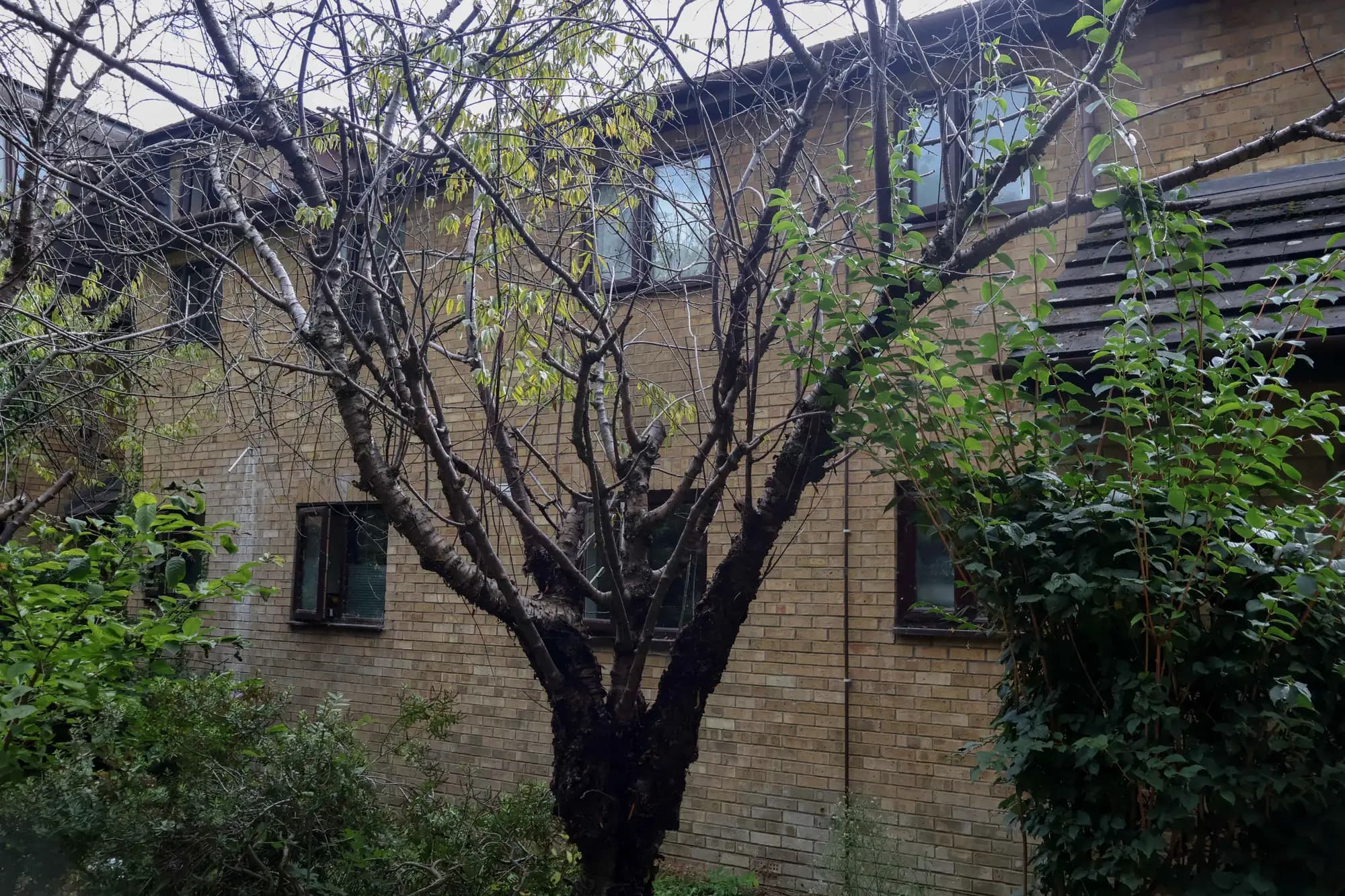 property photo 21 of 22