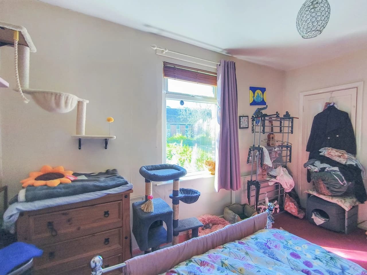 property photo 11 of 17