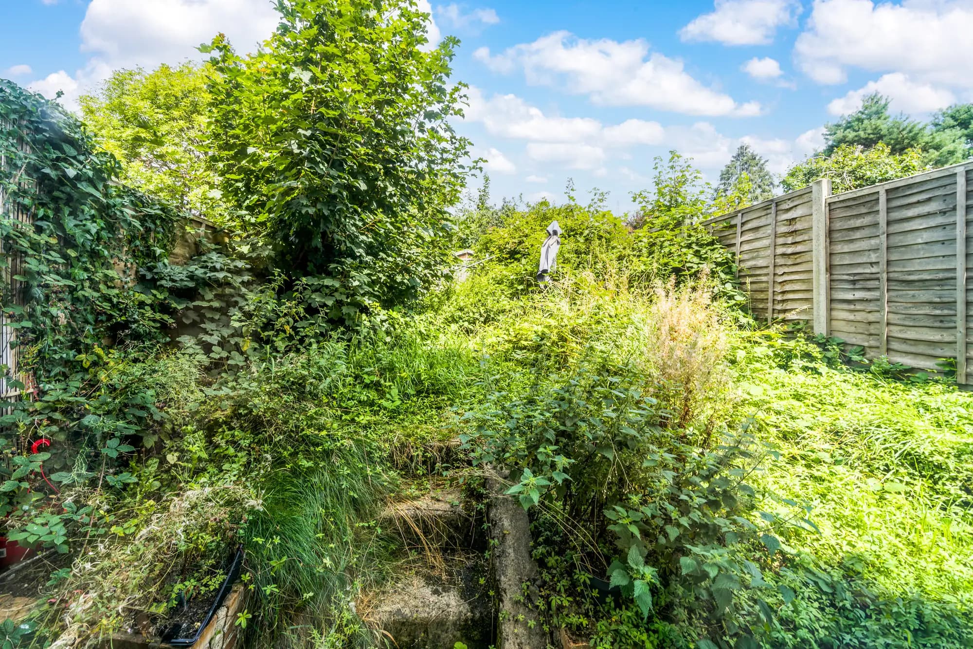 property photo 22 of 26