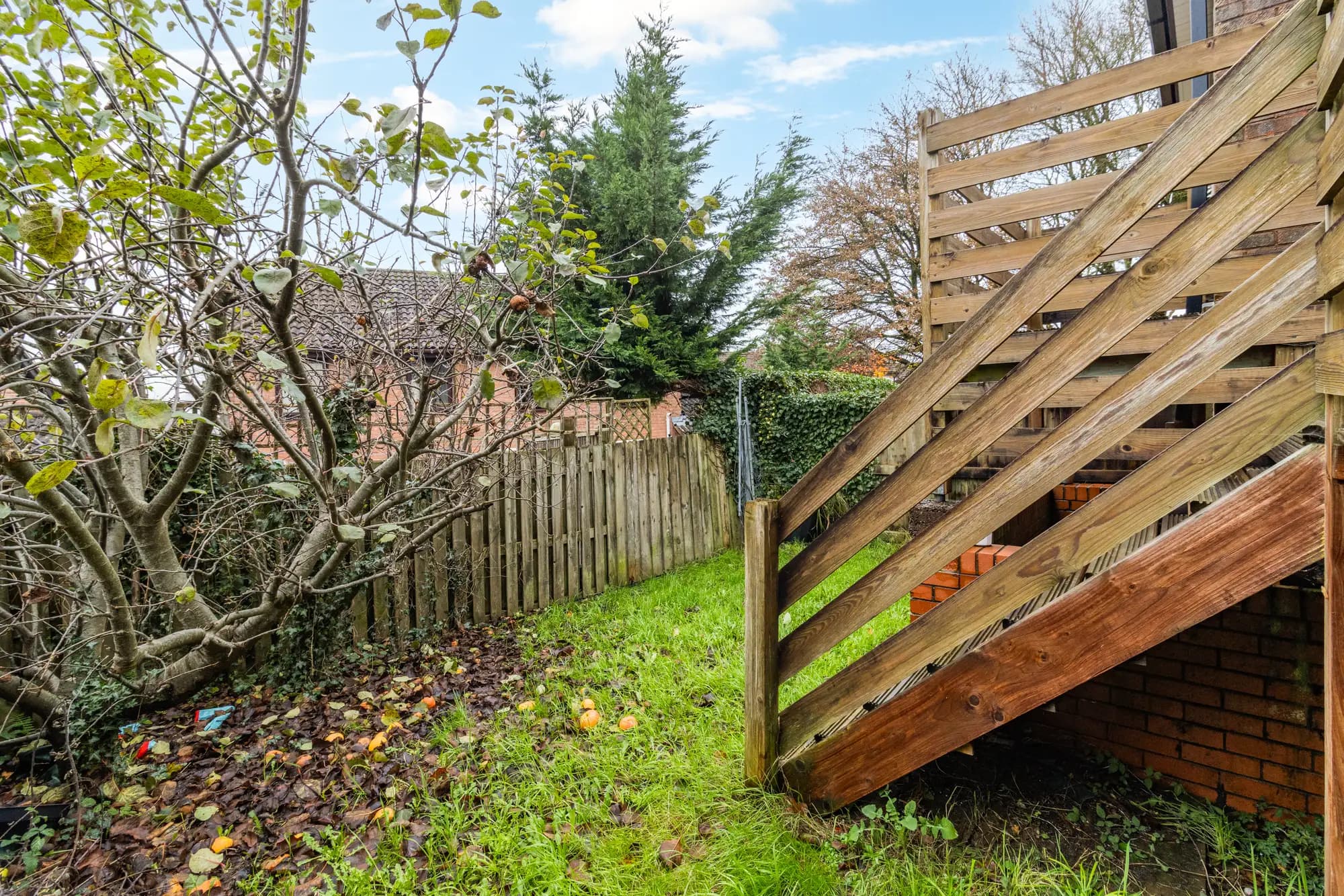 property photo 21 of 24