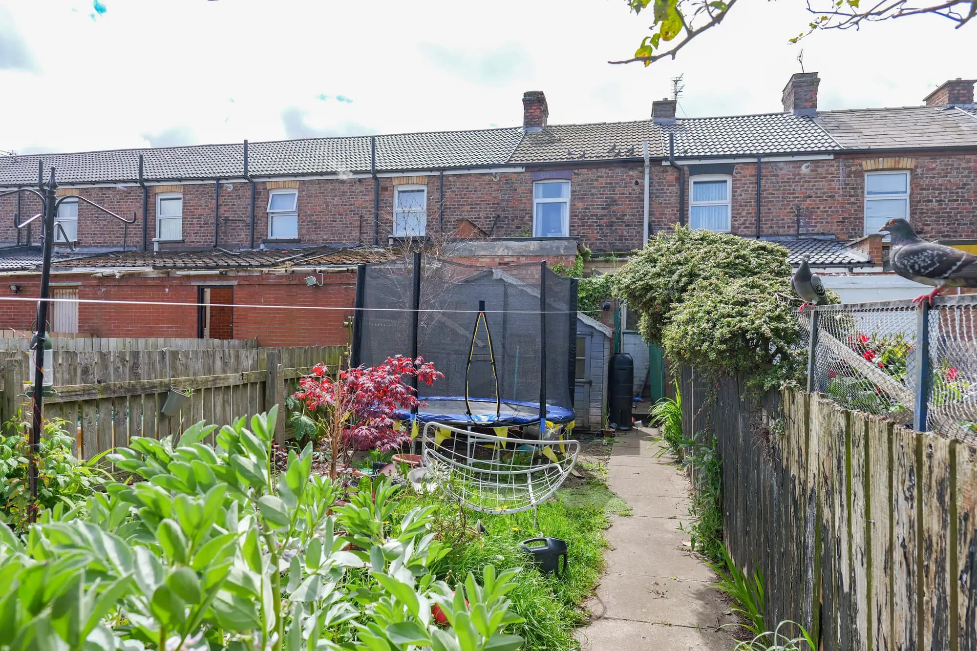 property photo 21 of 24
