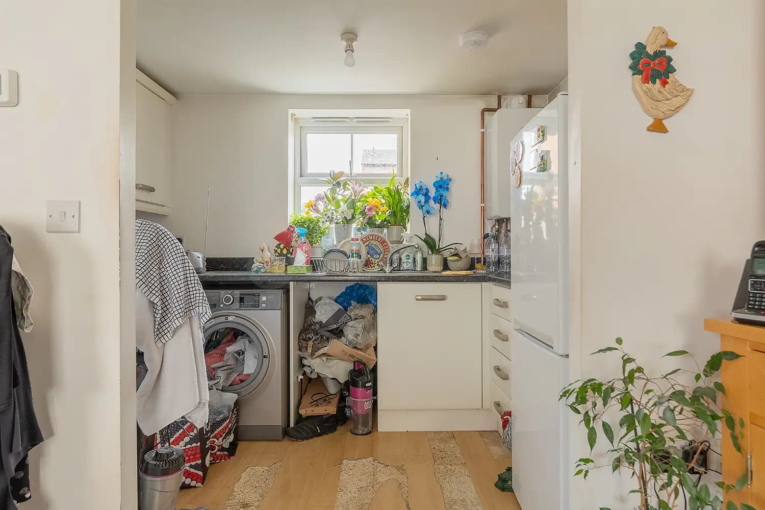 property photo 6 of 19