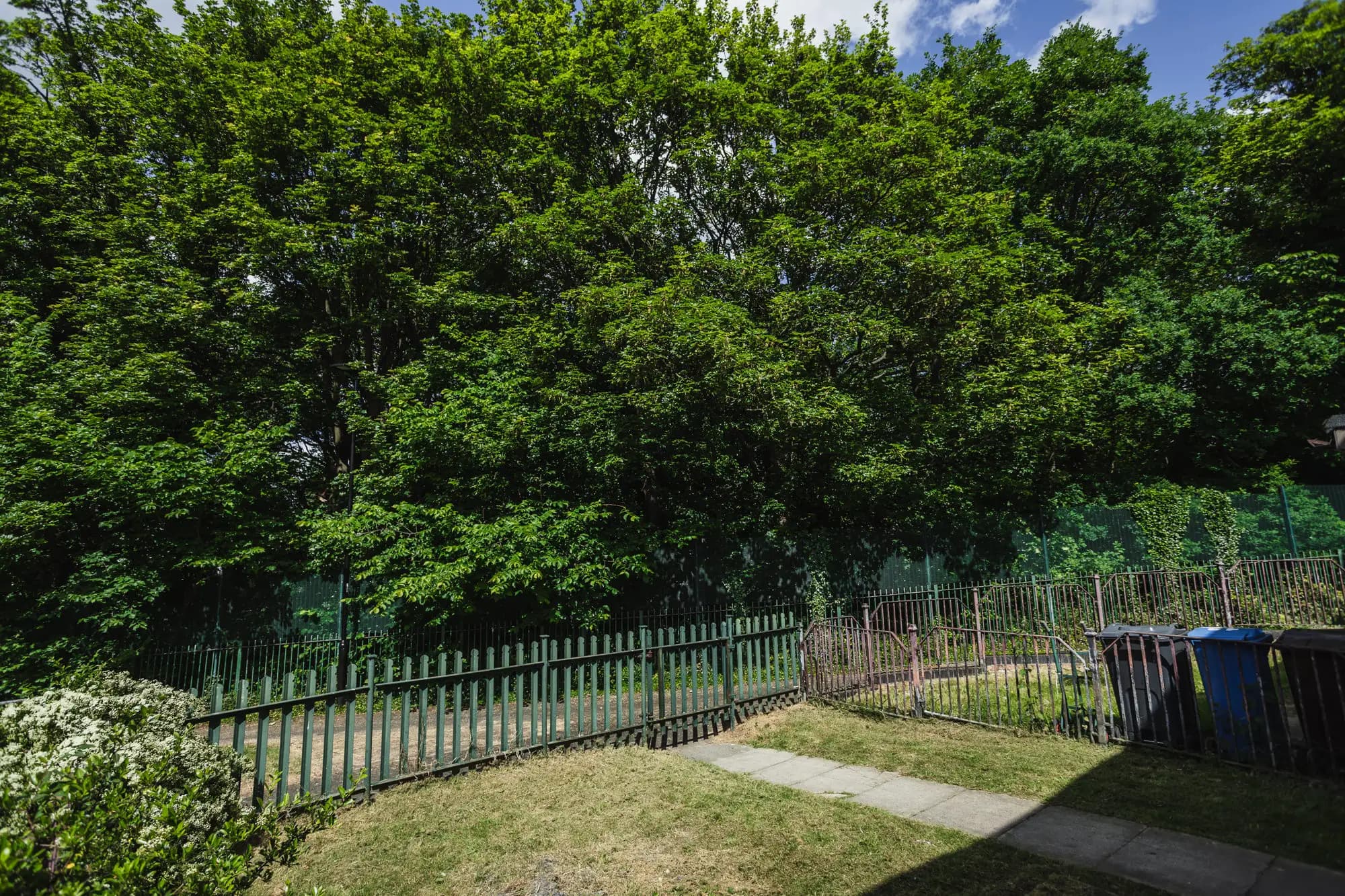 property photo 23 of 30