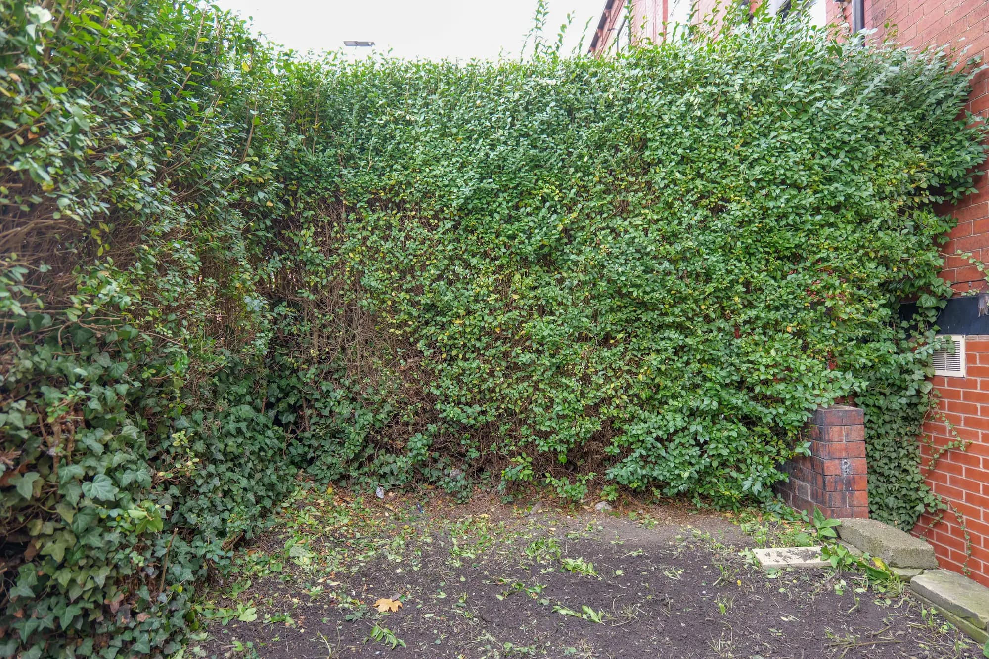 property photo 20 of 24