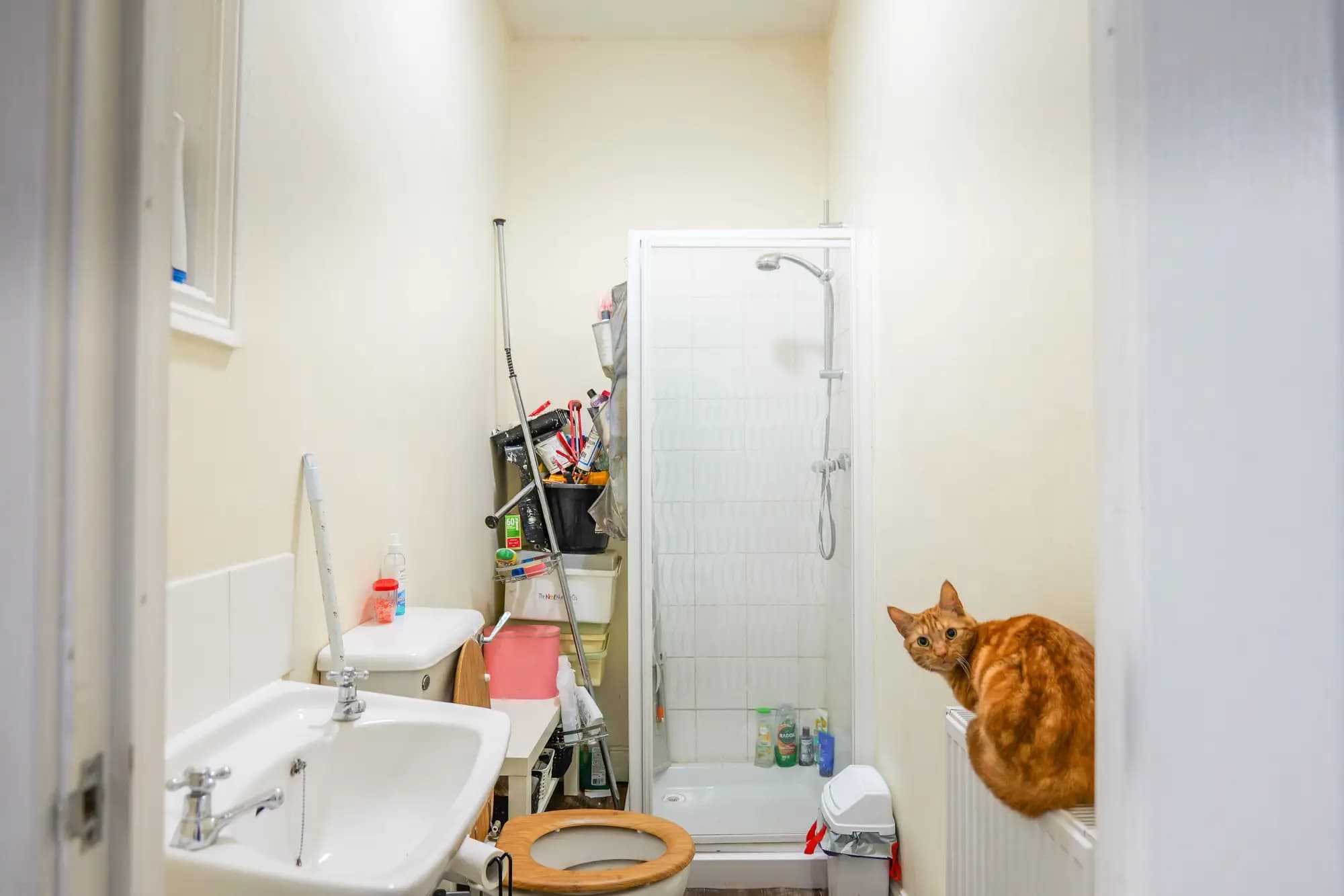 property photo 6 of 18