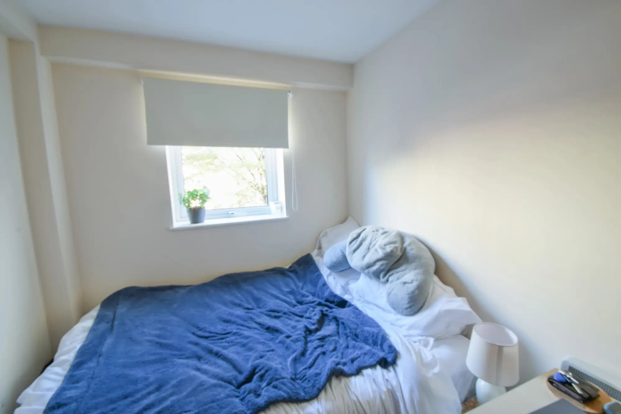 property photo 14 of 19